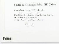 登錄號:F0006041藏品圖，第2張