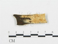 登錄號:F0006041藏品圖，第1張