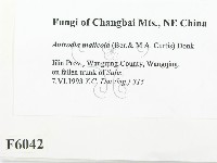 登錄號:F0006042藏品圖，第2張