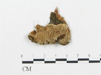 登錄號:F0006042藏品圖，第1張