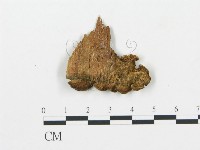 登錄號:F0006042藏品圖，第3張