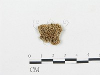 登錄號:F0006043藏品圖，第1張