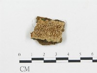 登錄號:F0006044藏品圖，第1張