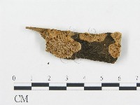 登錄號:F0006046藏品圖，第1張