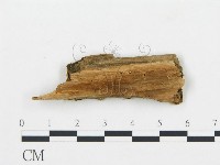 登錄號:F0006046藏品圖，第3張