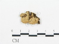 登錄號:F0006047藏品圖，第1張
