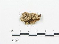 登錄號:F0006047藏品圖，第3張