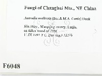 登錄號:F0006048藏品圖，第2張