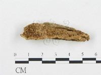登錄號:F0006048藏品圖，第1張