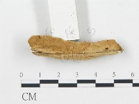 登錄號:F0006048藏品圖，第4張