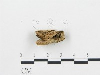 登錄號:F0006050藏品圖，第3張