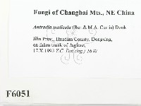 登錄號:F0006051藏品圖，第2張