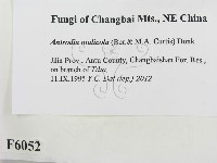 登錄號:F0006052藏品圖，第2張