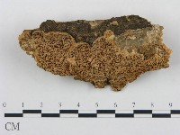 登錄號:F0006052藏品圖，第1張