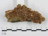 登錄號:F0006052藏品圖，第3張