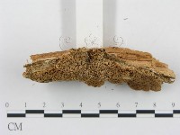 登錄號:F0006052藏品圖，第4張