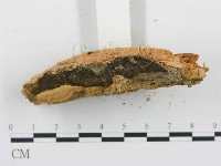 登錄號:F0006052藏品圖，第5張