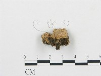 登錄號:F0006053藏品圖，第3張