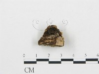 登錄號:F0006053藏品圖，第4張