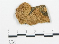 登錄號:F0006054藏品圖，第1張