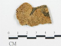 登錄號:F0006054藏品圖，第3張