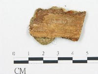 登錄號:F0006054藏品圖，第4張