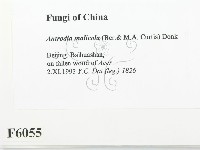 登錄號:F0006055藏品圖，第2張