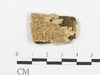 登錄號:F0006055藏品圖，第1張