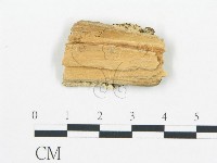 登錄號:F0006055藏品圖，第3張