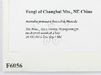 登錄號:F0006056藏品圖，第2張