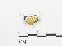 登錄號:F0006056藏品圖，第1張