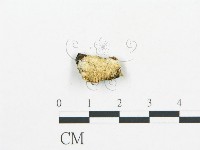 登錄號:F0006056藏品圖，第4張