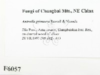 登錄號:F0006057藏品圖，第2張