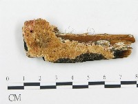 登錄號:F0006057藏品圖，第1張