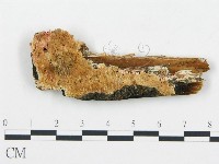 登錄號:F0006057藏品圖，第3張