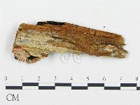 登錄號:F0006057藏品圖，第4張