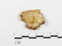 登錄號:F0006059藏品圖，第1張