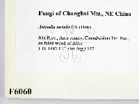 登錄號:F0006060藏品圖，第2張