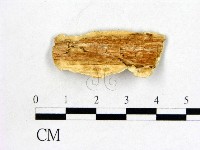 登錄號:F0006060藏品圖，第3張