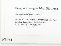 登錄號:F0006061藏品圖，第2張
