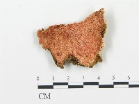 登錄號:F0006061藏品圖，第1張
