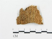登錄號:F0006061藏品圖，第3張