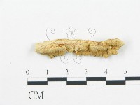 登錄號:F0006062藏品圖，第1張