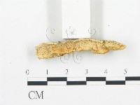 登錄號:F0006062藏品圖，第3張