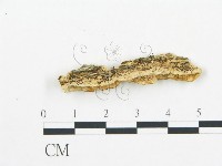 登錄號:F0006062藏品圖，第4張