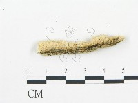 登錄號:F0006062藏品圖，第5張