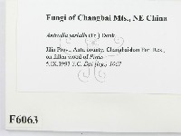 登錄號:F0006063藏品圖，第2張