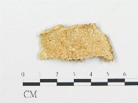 登錄號:F0006063藏品圖，第1張