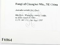 登錄號:F0006064藏品圖，第2張