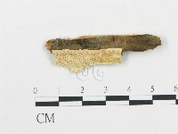 登錄號:F0006064藏品圖，第1張